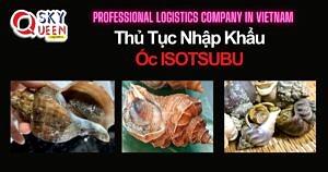 THỦ TỤC NHẬP KHẨU ỐC ISOTSUBU