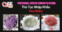 THỦ TỤC NHẬP KHẨU HOA BABY