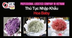 THỦ TỤC NHẬP KHẨU HOA BABY