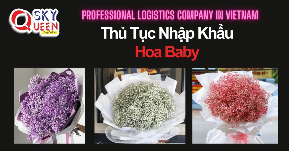 thu-tuc-nhap-khau-hoa-baby-sky-queen-logistics