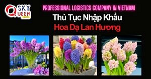 THỦ TỤC NHẬP KHẨU HOA DẠ LAN HƯƠNG