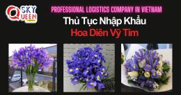 THỦ TỤC NHẬP KHẨU HOA DIÊN VỸ TÍM