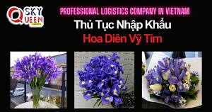 THỦ TỤC NHẬP KHẨU HOA DIÊN VỸ TÍM