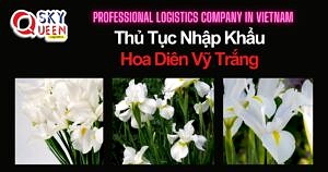 THỦ TỤC NHẬP KHẨU HOA DIÊN VỸ TRẮNG