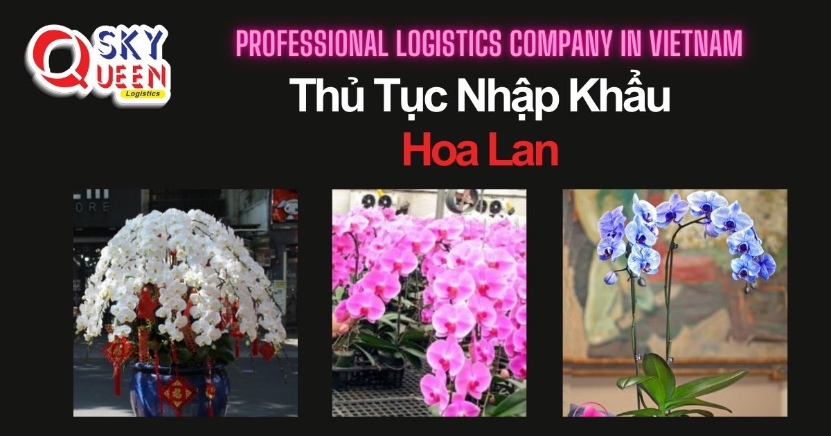 thu-tuc-nhap-khau-hoa-lan-sky-queen-logistics