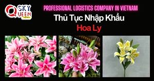 THỦ TỤC NHẬP KHẨU HOA LY