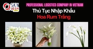 THỦ TỤC NHẬP KHẨU HOA RUM TRẮNG