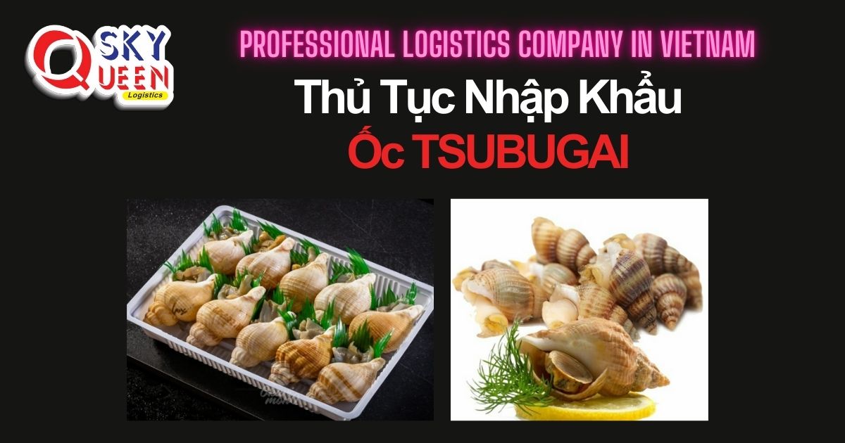 thu-tuc-nhap-khau-oc-tsubugai-sky-queen-logistics