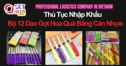 THỦ TỤC NHẬP KHẨU BỘ 12 DAO GỌT HOA QUẢ CÁN BẰNG NHỰA