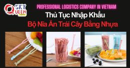 THỦ TỤC NHẬP KHẨU BỘ NĨA ĂN TRÁI CÂY BẰNG NHỰA