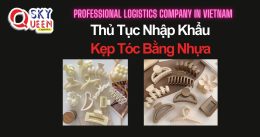 THỦ TỤC NHẬP KHẨU KẸP TÓC BẰNG NHỰA