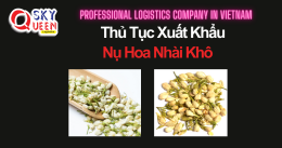 THỦ TỤC XUẤT KHẨU NỤ HOA NHÀI KHÔ