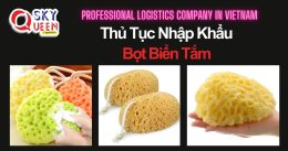 THỦ TỤC NHẬP KHẨU BỌT BIỂN TẮM