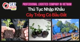 THỦ TỤC NHẬP KHẨU CÂY TRỒNG CÓ BẦU ĐẤT