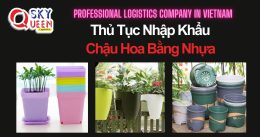 THỦ TỤC NHẬP KHẨU CHẬU HOA BẰNG NHỰA
