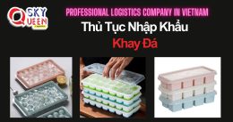 THỦ TỤC NHẬP KHẨU KHAY ĐÁ