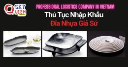 THỦ TỤC NHẬP KHẨU ĐĨA NHỰA GIẢ SỨ