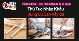 THỦ TỤC NHẬP KHẨU DỤNG CỤ CẠO VẢY CÁ