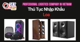 THỦ TỤC NHẬP KHẨU LOA