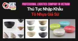 THỦ TỤC NHẬP KHẨU TÔ NHỰA GIẢ SỨ