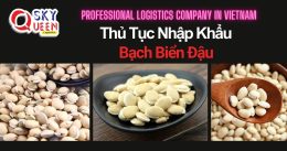 THỦ TỤC NHẬP KHẨU BẠCH BIỂN ĐẬU