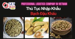 THỦ TỤC NHẬP KHẨU BẠCH ĐẬU KHẤU