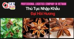 THỦ TỤC NHẬP KHẨU ĐẠI HỒI HƯƠNG