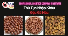 THỦ TỤC NHẬP KHẨU ĐẬU GÀ NÂU