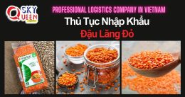 THỦ TỤC NHẬP KHẨU ĐẬU LĂNG ĐỎ