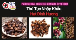 THỦ TỤC NHẬP KHẨU HẠT ĐINH HƯƠNG