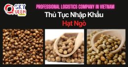 THỦ TỤC NHẬP KHẨU HẠT NGÒ