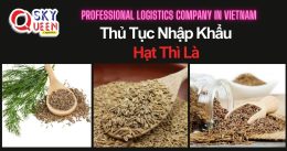 THỦ TỤC NHẬP KHẨU HẠT THÌ LÀ