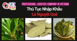THỦ TỤC NHẬP KHẨU LÁ NGUYỆT QUẾ