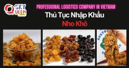 THỦ TỤC NHẬP KHẨU NHO KHÔ