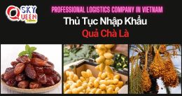 THỦ TỤC NHẬP KHẨU QUẢ CHÀ LÀ