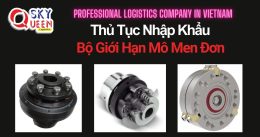 THỦ TỤC NHẬP KHẨU BỘ GIỚI HẠN MÔ MEN ĐƠN