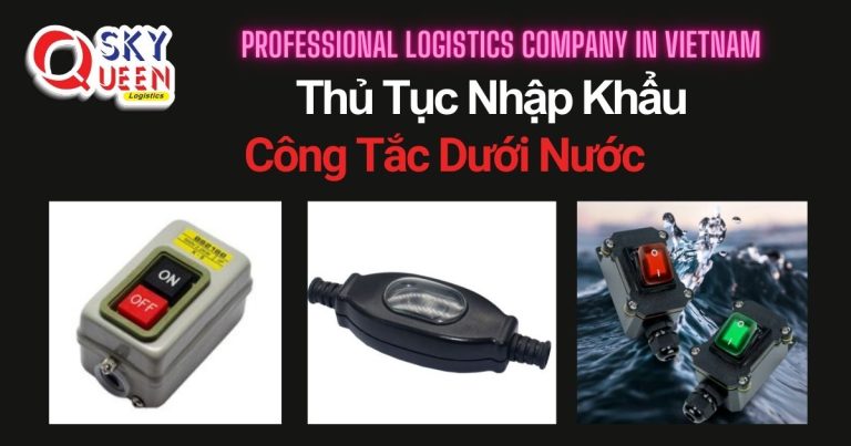 thu-tuc-nhap-khau-cong-tac-duoi-nuoc-sky-queen-logistics