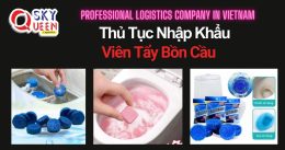 THỦ TỤC NHẬP KHẨU VIÊN TẨY BỒN CẦU