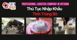 THỦ TỤC NHẬP KHẨU TINH TRÙNG BÒ
