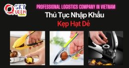 THỦ TỤC NHẬP KHẨU KẸP HẠT DẺ