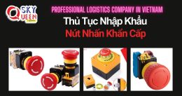 THỦ TỤC NHẬP KHẨU NÚT NHẤN KHẨN CẤP