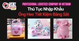 THỦ TỤC NHẬP KHẨU ỐNG HEO TIẾT KIỆM BẰNG SẮT