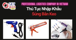 THỦ TỤC NHẬP KHẨU SÚNG BẮN KEO