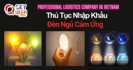 THỦ TỤC NHẬP KHẨU ĐÈN NGỦ CẢM ỨNG