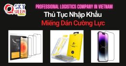 THỦ TỤC NHẬP KHẨU MIẾNG DÁN CƯỜNG LỰC